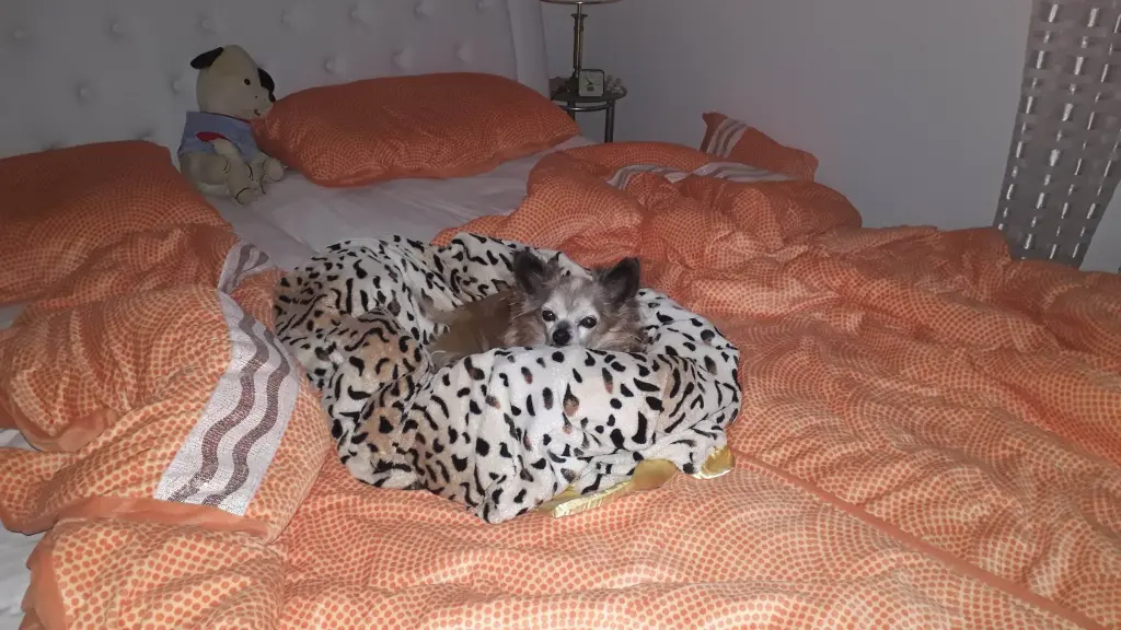 Condolence image of Angelika 