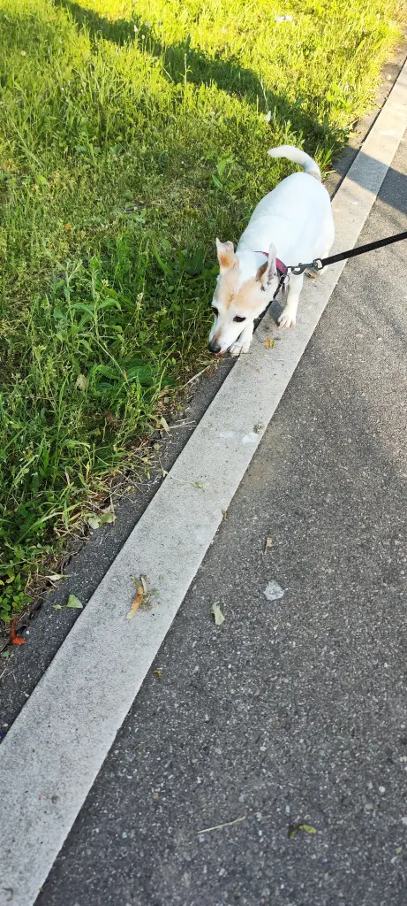 Condolence image of Steffen 