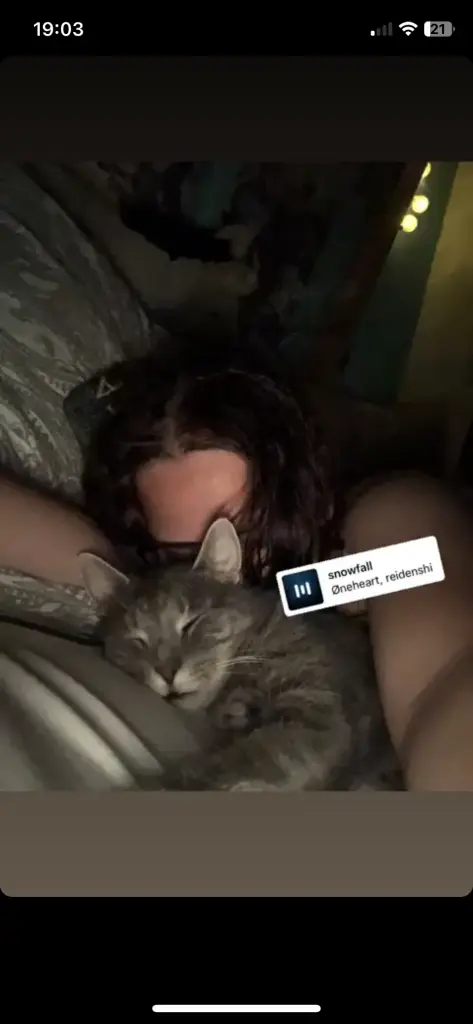 Condolence image of Knoppi Von Marleen 