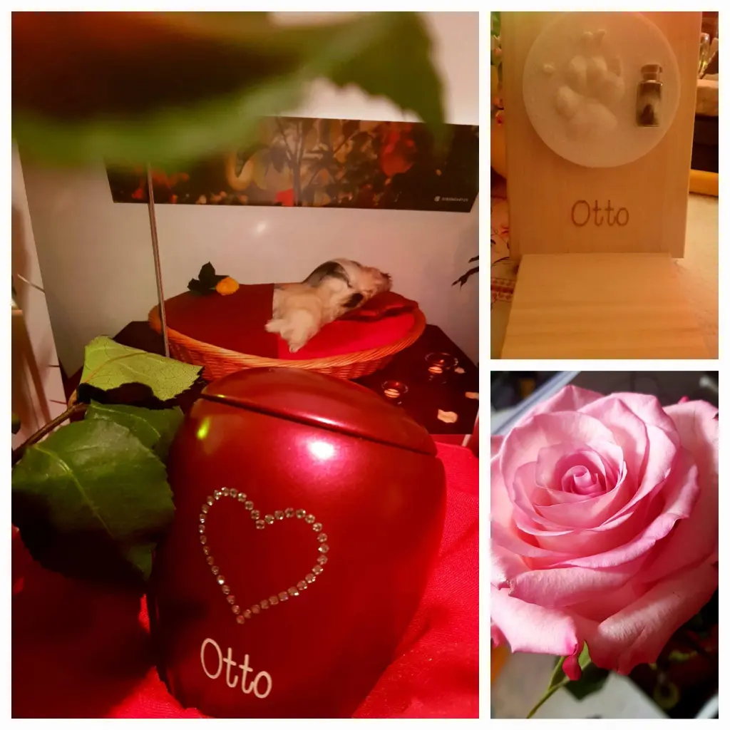 Image from Otto