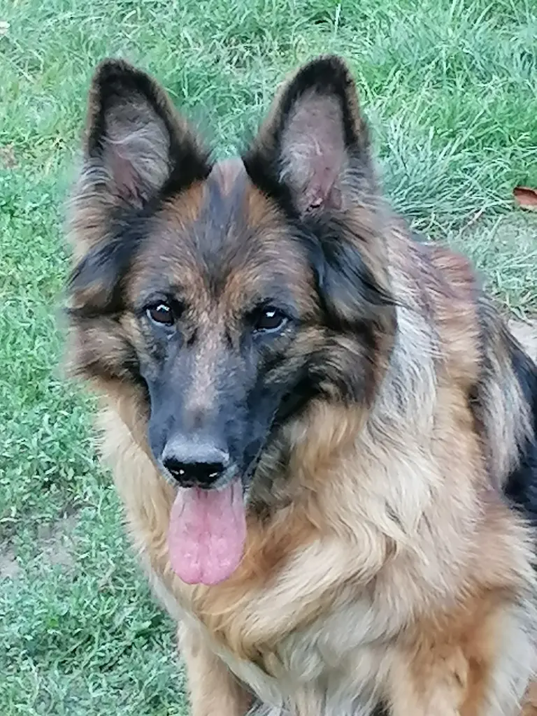 Condolence image of Gabriele Zutter