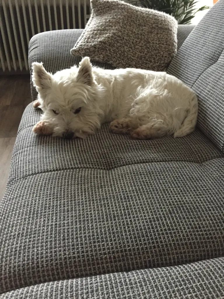 Condolence image of Sabine mit Linus im ❤️