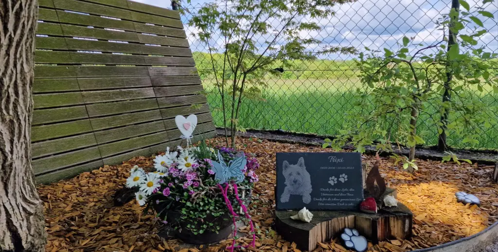 Condolence image of Chris & Caro