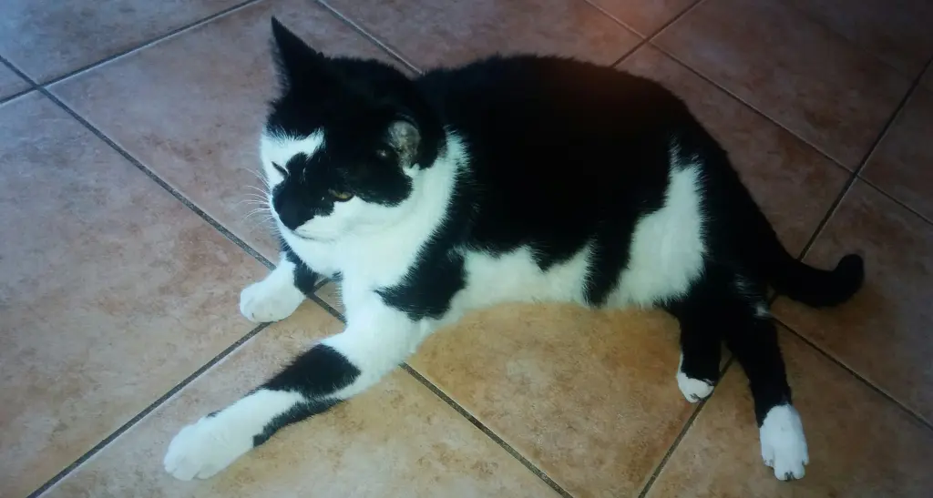 Condolence image of Annemarie und Elke mit Snoopy im Herzen gest.04.01.2022