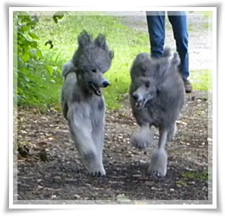 Condolence image of Unbekannt