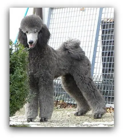 Condolence image of Unbekannt