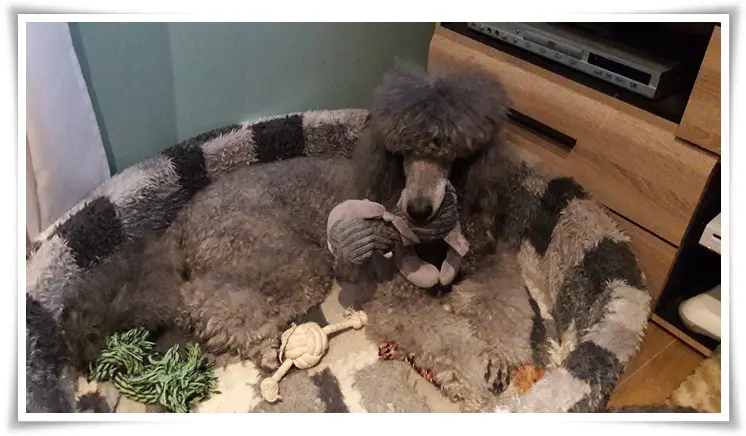 Condolence image of Unbekannt