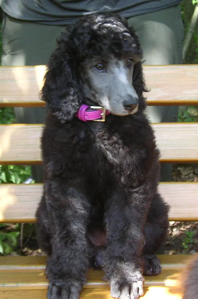 Condolence image of Unbekannt