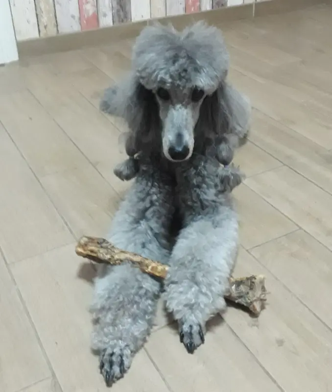 Condolence image of Unbekannt