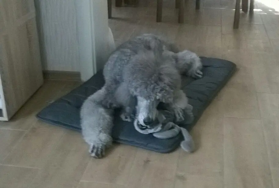 Condolence image of Ellen