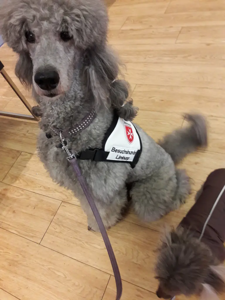 Condolence image of Ellen