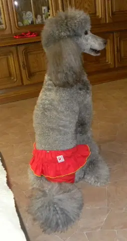 Condolence image of Unbekannt