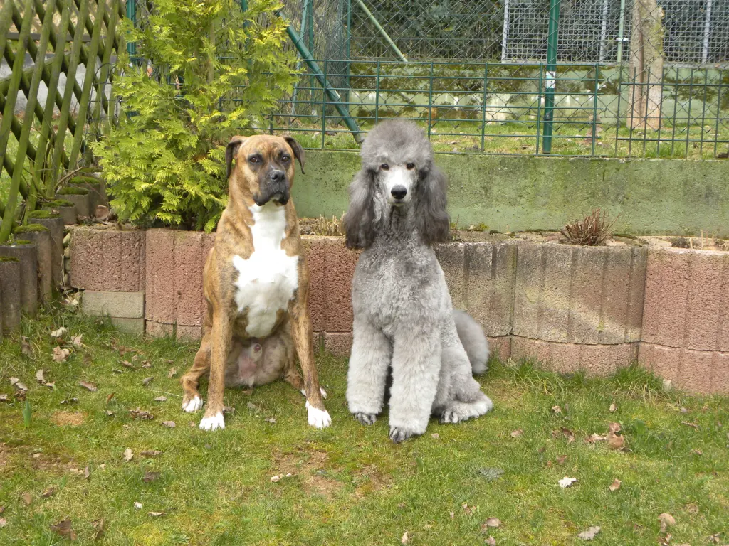 Condolence image of Unbekannt