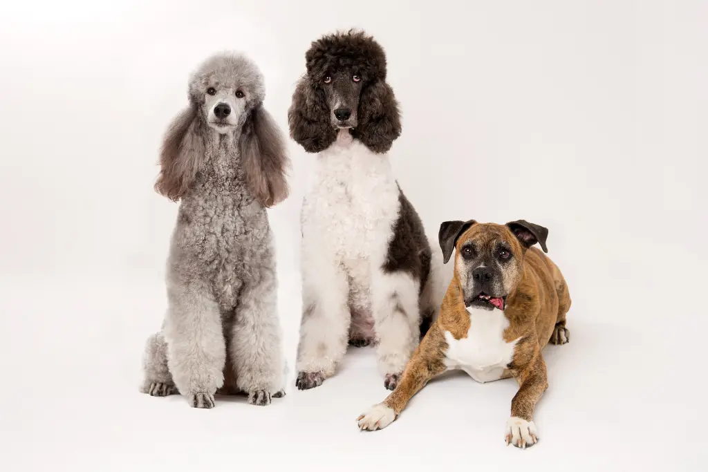 Condolence image of Ellen