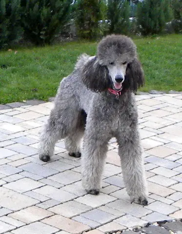 Condolence image of Ellen