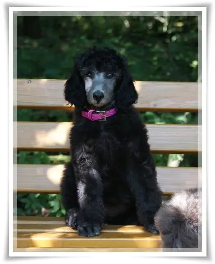 Condolence image of Ellen