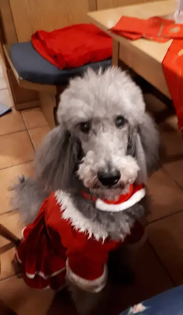 Condolence image of Ellen