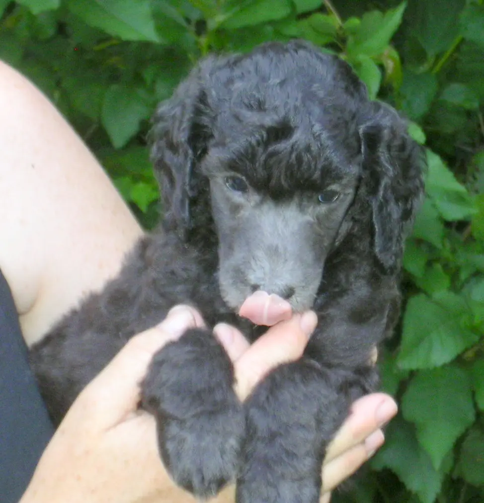 Condolence image of Ellen