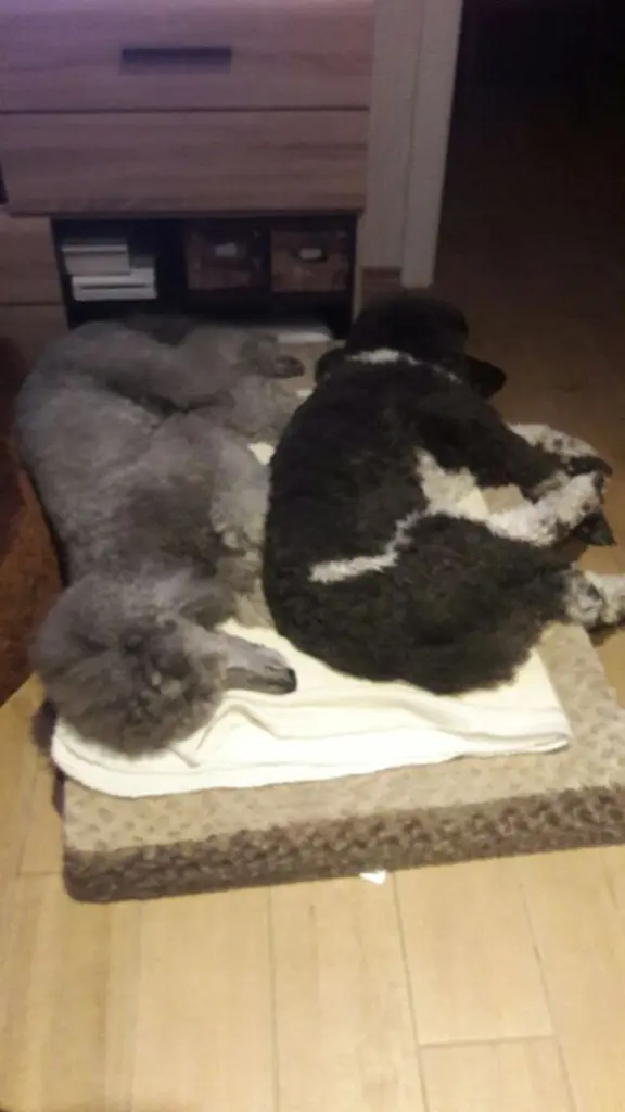 Condolence image of Ellen