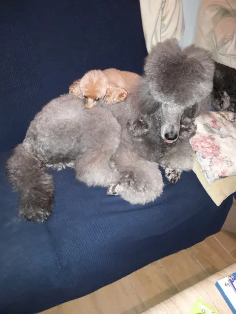 Condolence image of Ellen