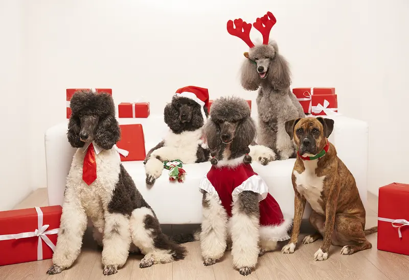 Condolence image of Ellen