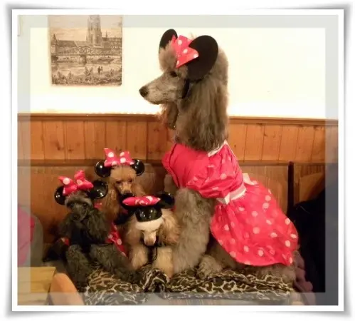 Condolence image of Ellen