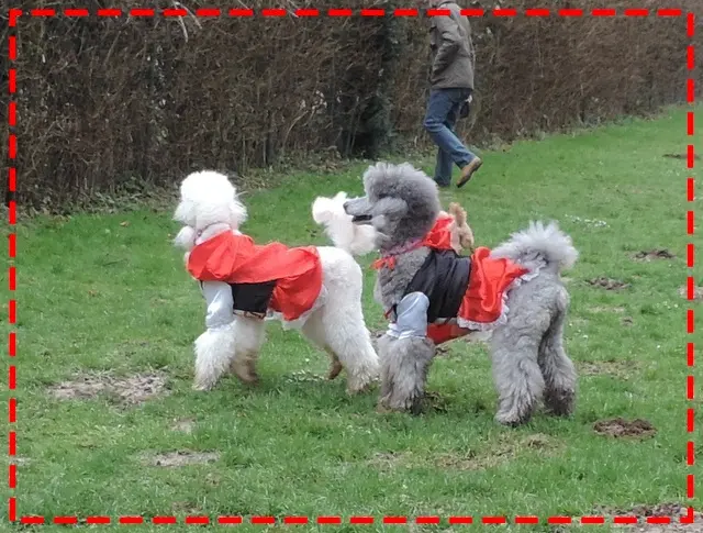 Condolence image of Ellen