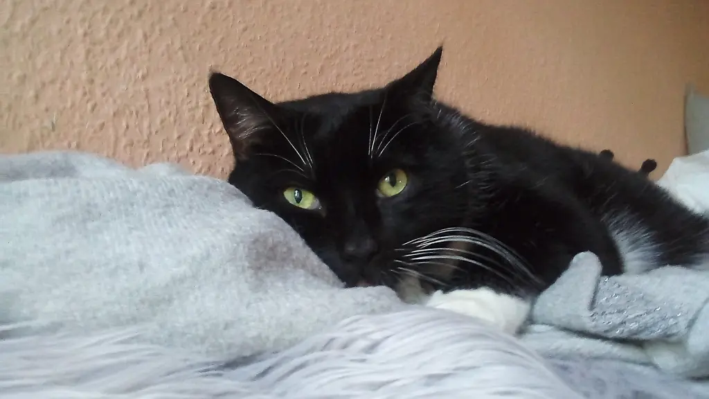 Condolence image of Heike