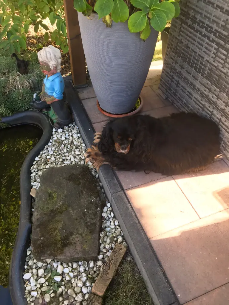 Condolence image of Daniela