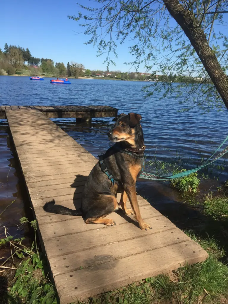 Condolence image of Sonja 