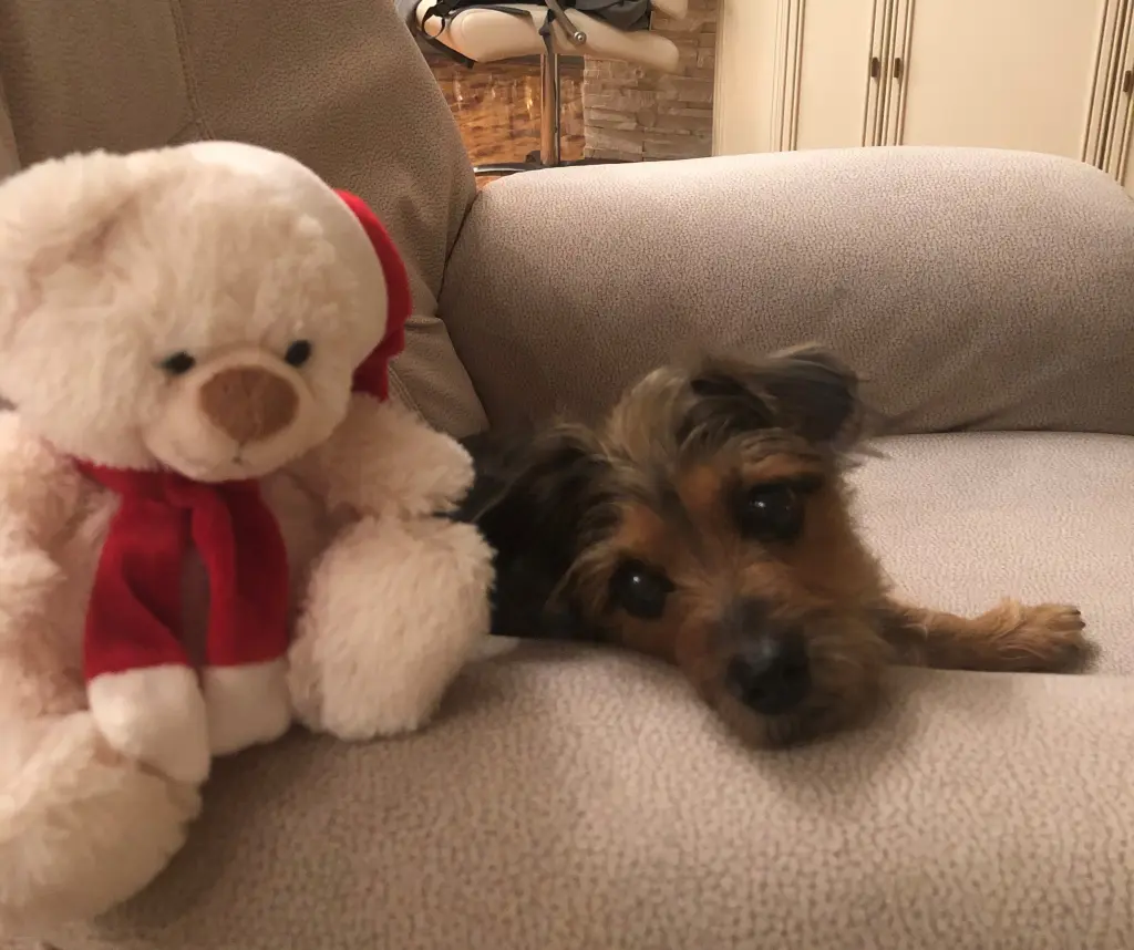 Condolence image of Jasmin