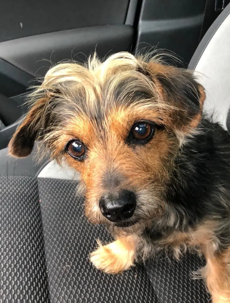 Condolence image of Jasmin