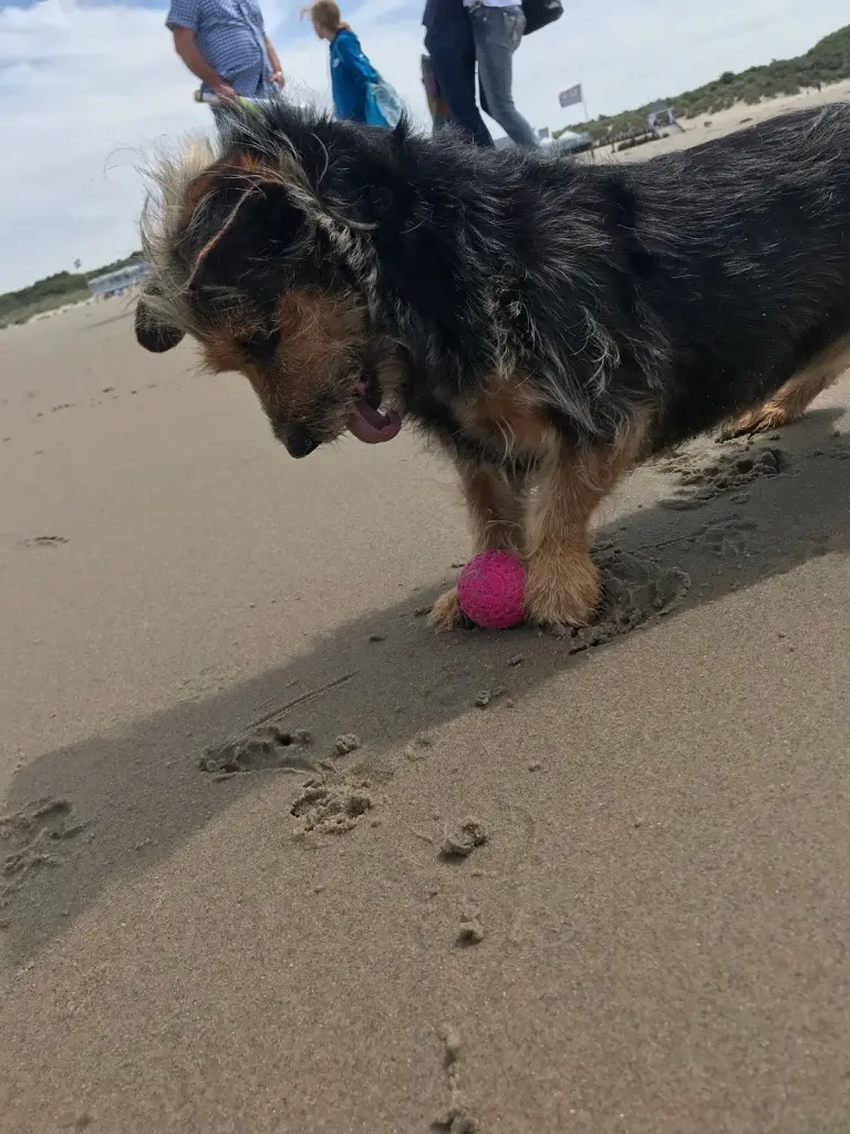 Condolence image of Jasmin