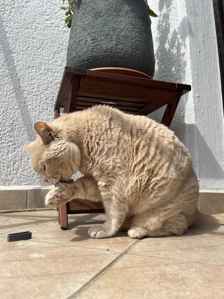 Condolence image of Tessa und Oliver