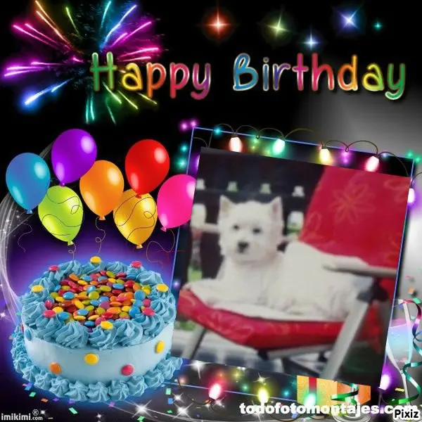 Condolence image of Tanja mit Timmy im Herzen 