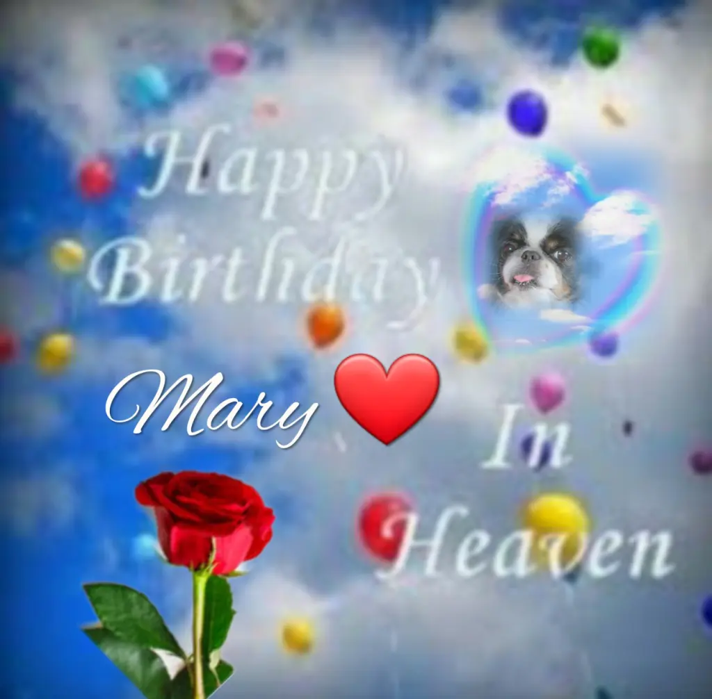Condolence image of Happy Birthday Mary❤