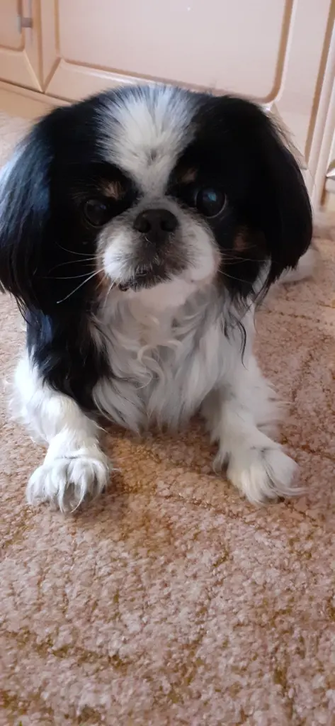 Condolence image of Kerstin & Sebastian