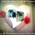 Condolence image of Annemarie und Elke mit Snoopy im Herzen gest.04.01.2022 und Pünktchen 