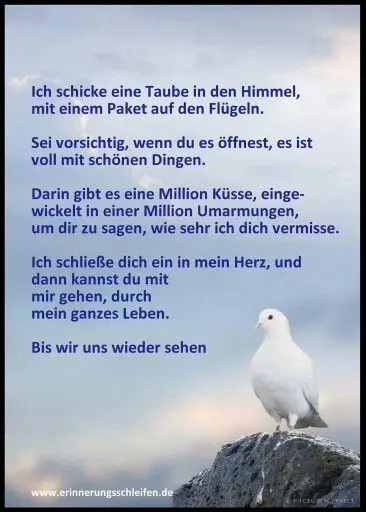 Condolence image of Andrea mit Minki im ♥️