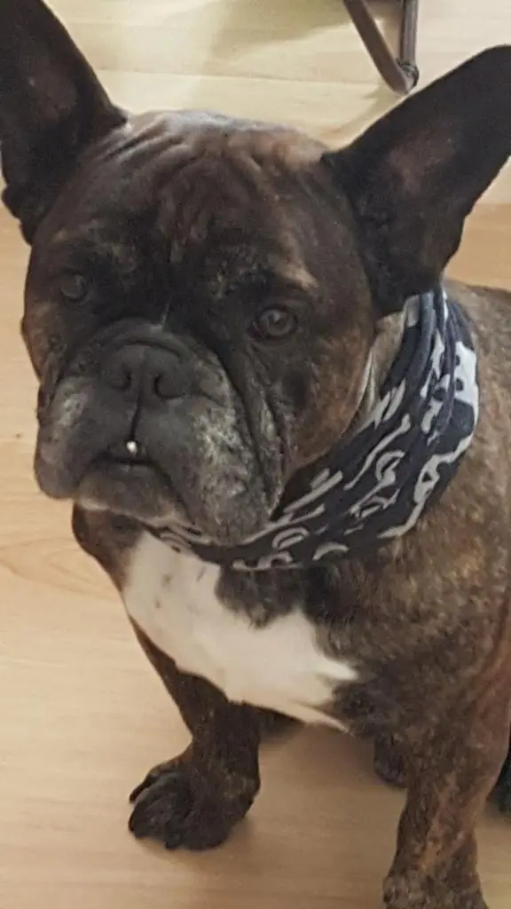 Condolence image of Mirko und Petra