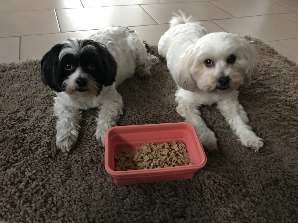 Condolence image of Susanne