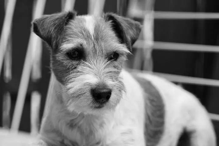 Condolence image of Linda 