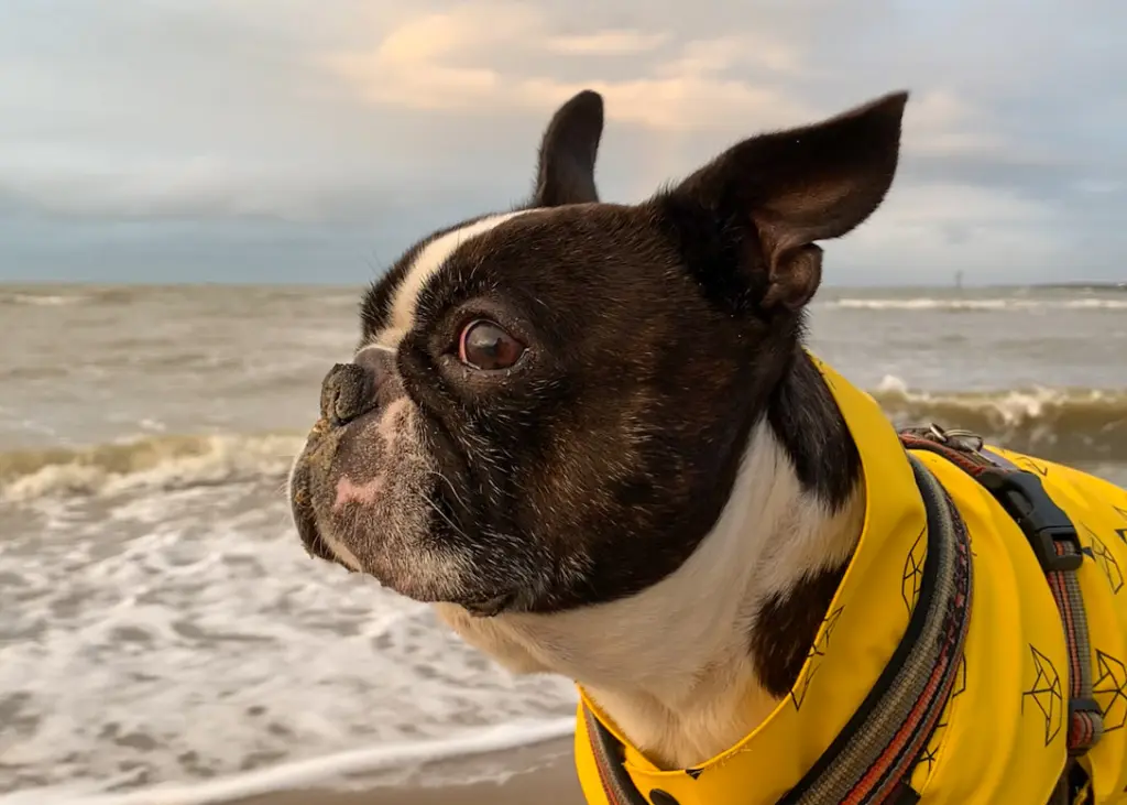 Condolence image of Unbekannt