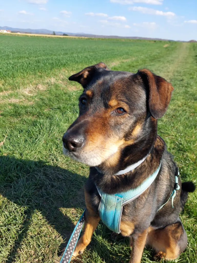 Condolence image of Sonja 