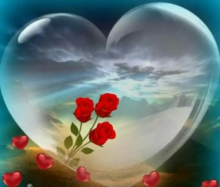 Condolence image of Für Happy❤️