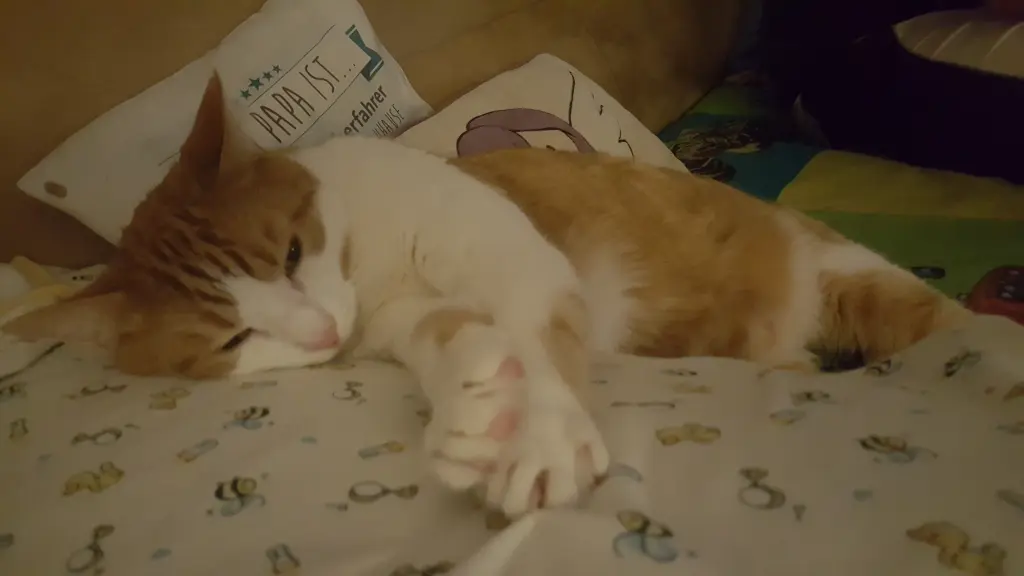 Condolence image of Nancy