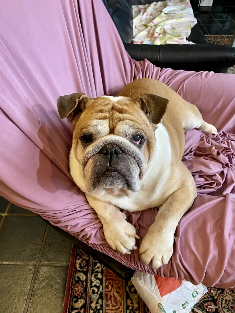 Condolence image of Frank