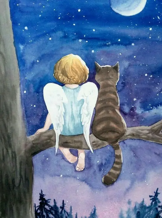 Condolence image of Gute Reise kleiner Engel ♥️⭐♥️