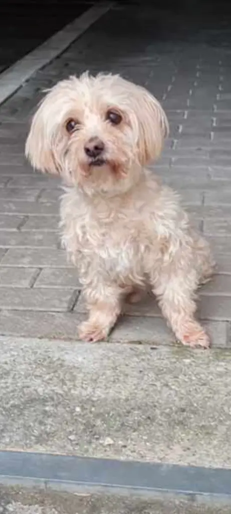 Condolence image of Stephan  Hönig 