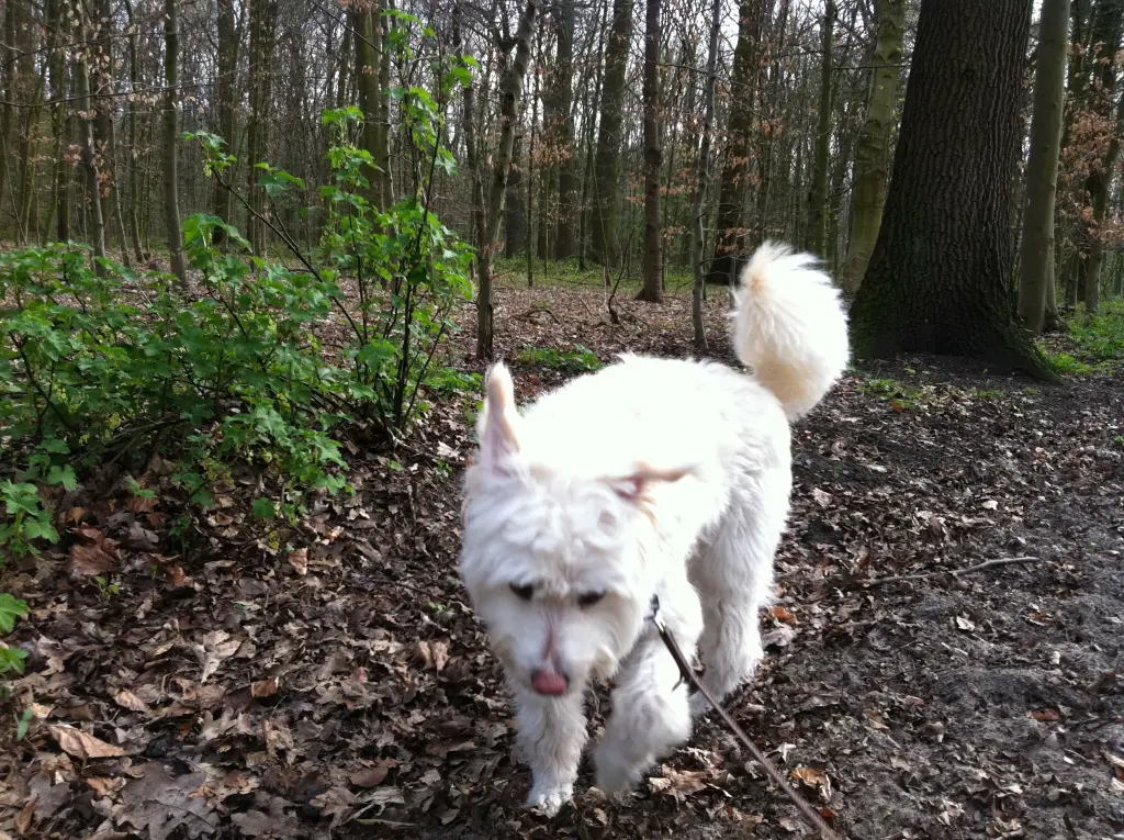 Condolence image of Brigitte und Olaf